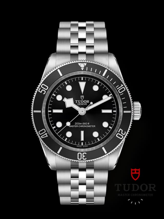 Tudor Black Bay Jubilee Thumbnail